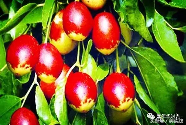 最好的风景在路上模板,最好的风景在路上作文