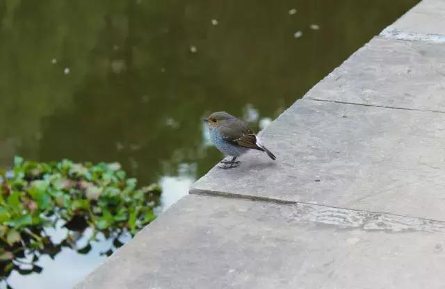 汉语言文学读研是什么体验,汉语言文学就读感受