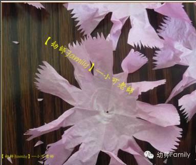 母亲节康乃馨图片大全大图,母亲节礼物手工康乃馨用卫生纸折