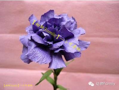 母亲节康乃馨图片大全大图,母亲节礼物手工康乃馨用卫生纸折