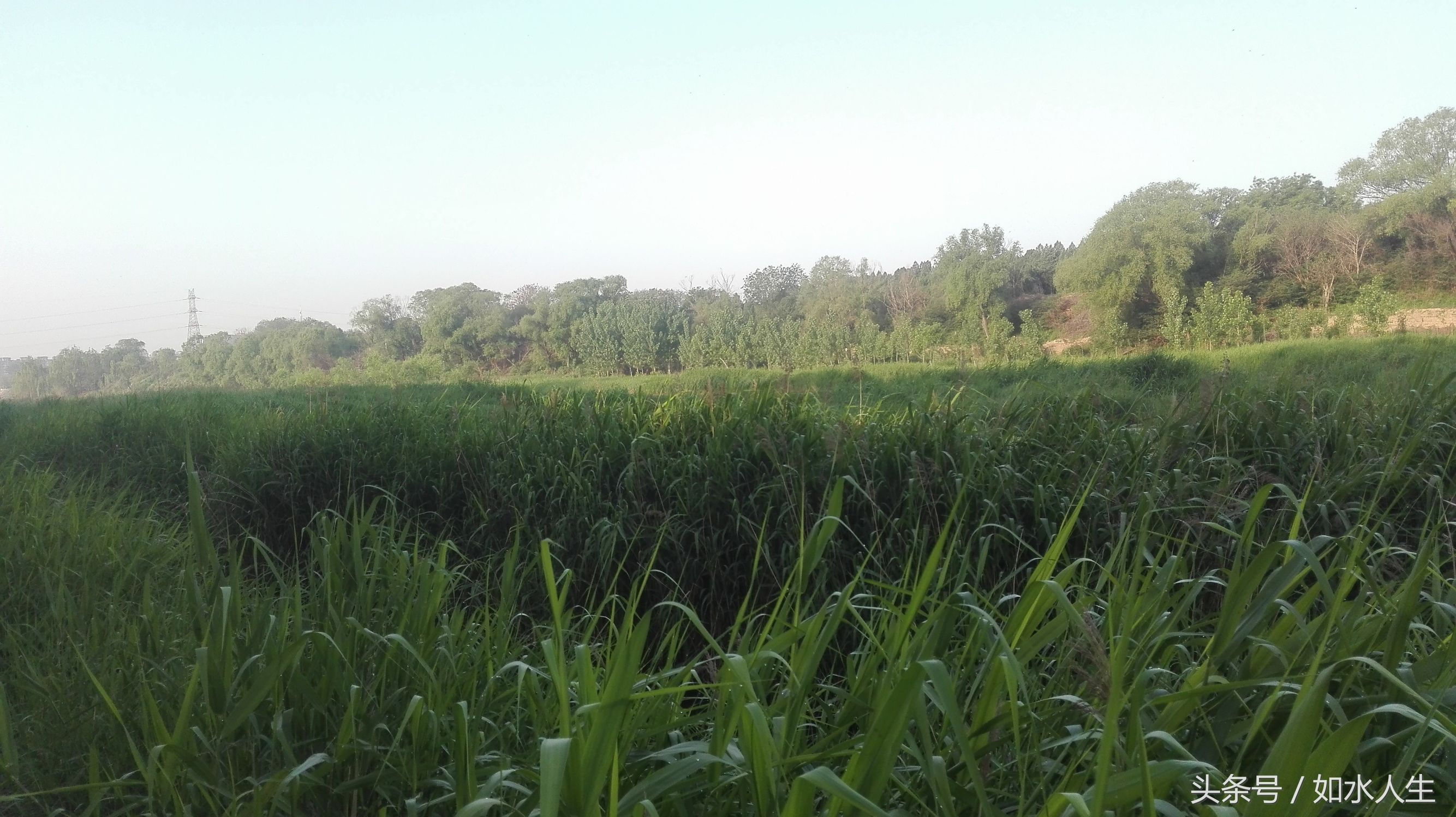 洹河晨色（随笔）