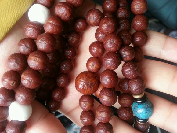 鐙埍鍑ょ溂鑿╂彁,涓栭棿鑿╂彁