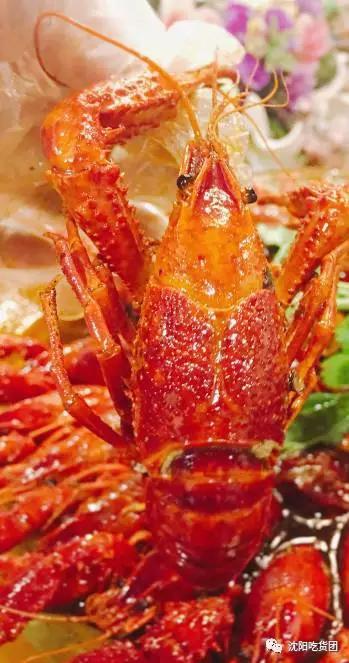 盘点沈阳小神店,沈阳麻小神店排行榜