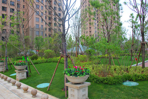 莱芜世纪城四期户型图,莱芜世纪城四期开盘什么价格