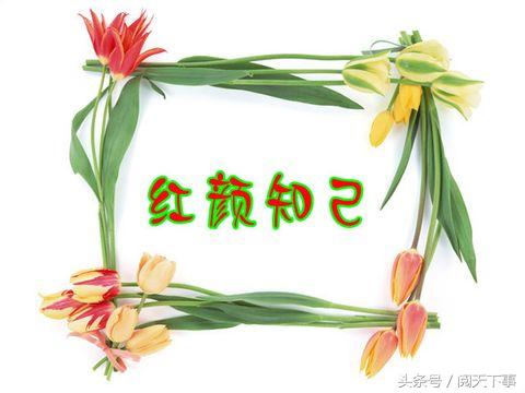 红颜知己和蓝颜知己语录,蓝颜知己和红颜知己有什么不一样