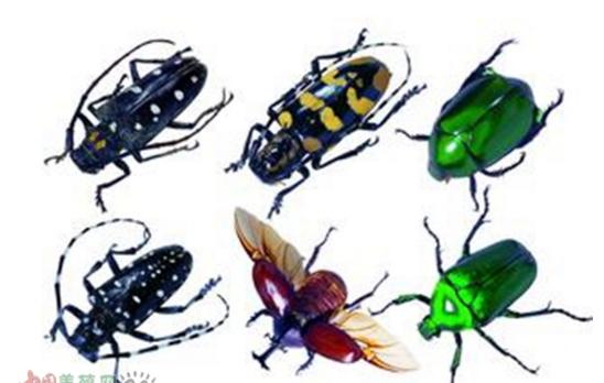 农村不起眼的暴利小生意,县城农村暴利小生意有哪些