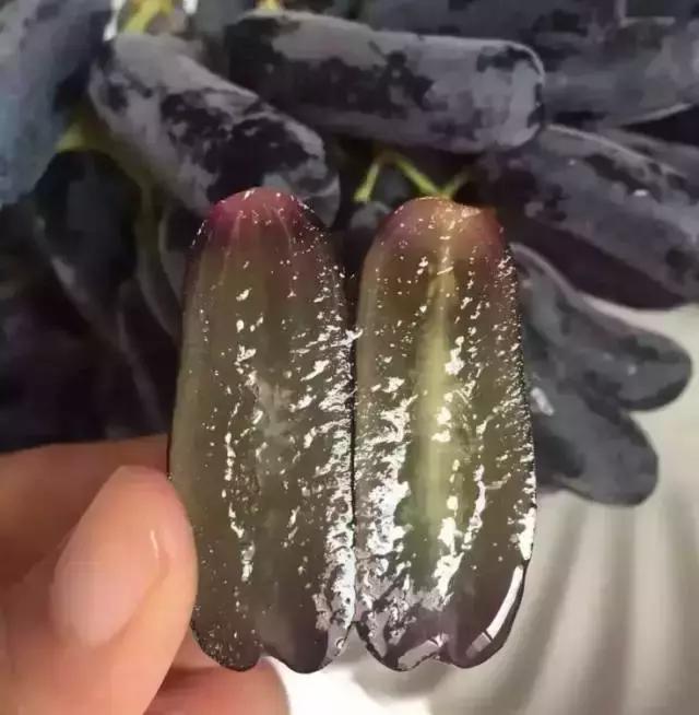 澳洲金手指黑提大概多少钱一斤,澳洲金手指黑提国内能种吗