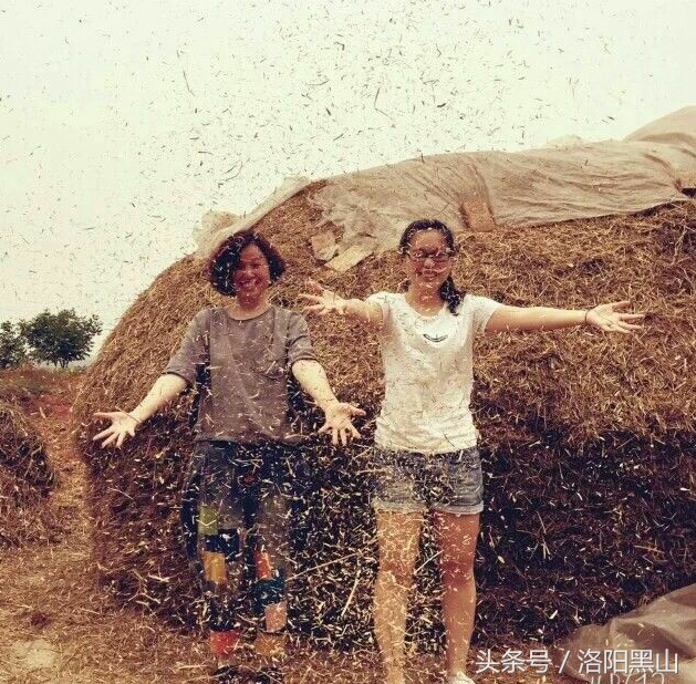 小女人的生活日记,如愿小女人日记