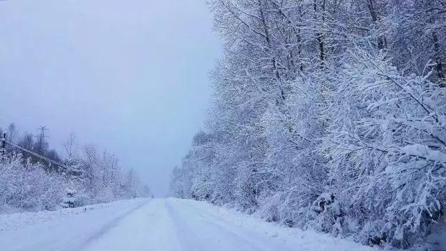 定损查勘员的基础知识,查勘定损员需要注意哪些问题