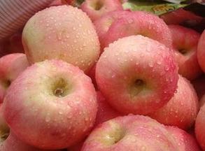 孕早期安胎食谱推荐,孕早期安胎食谱三款家常菜