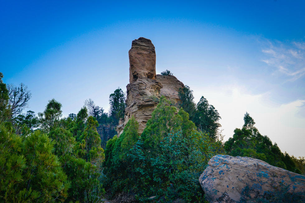 冬天来合阳,赏万顷芦荡,候鸟齐飞(组图)