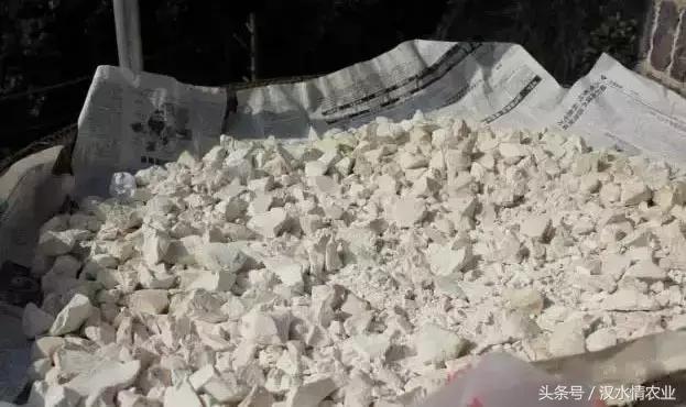 天然的血管支架,被称为血管天然支架的药材是