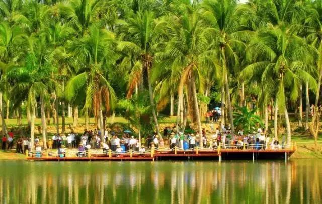 海南环线旅游攻略必去景点推荐,海南旅游攻略必去景点推荐日月湾