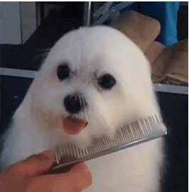 美女你这身材,玩这个动作是不是太危险了