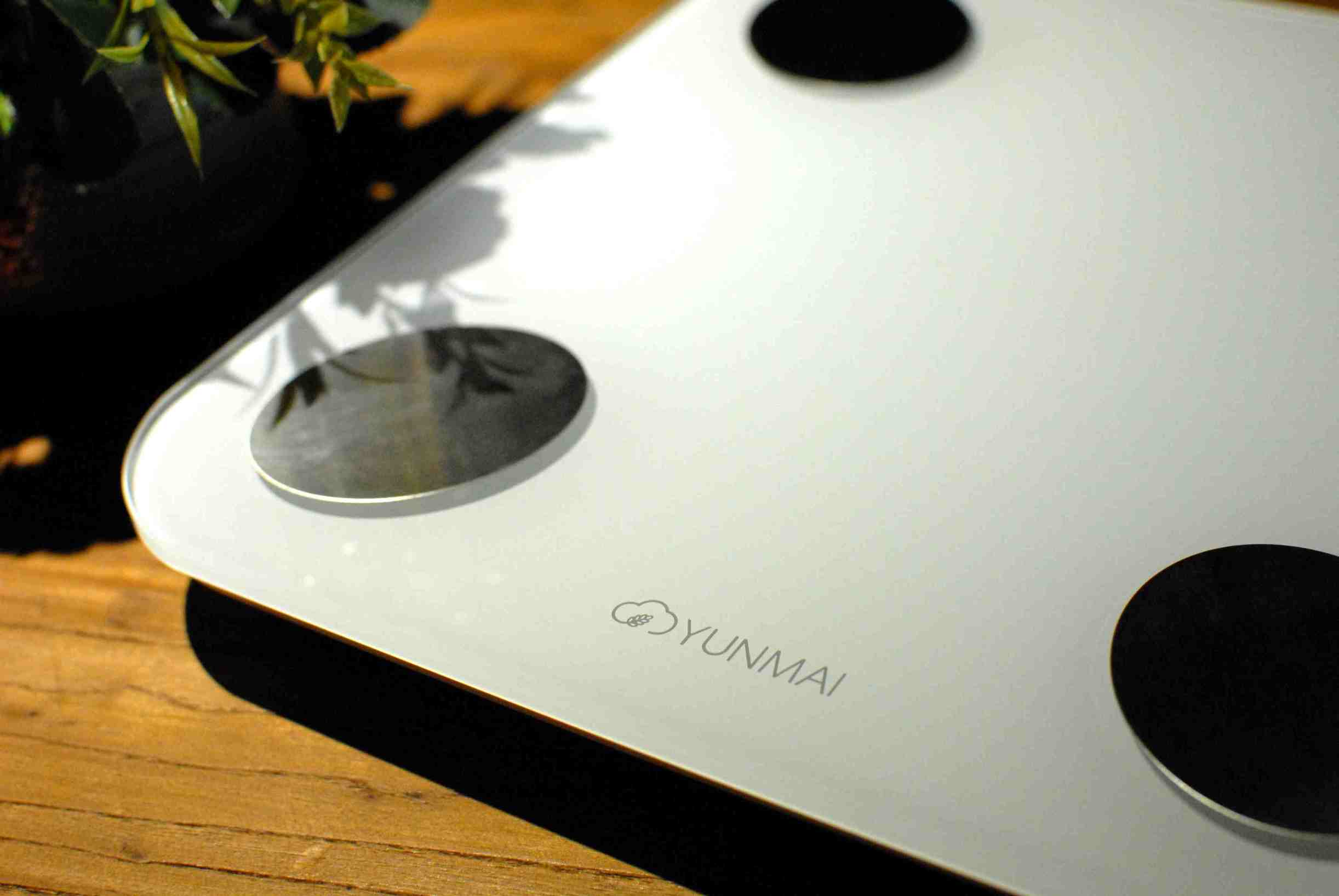 云麦mini2体脂秤说明书,云麦体脂秤mini2s测评