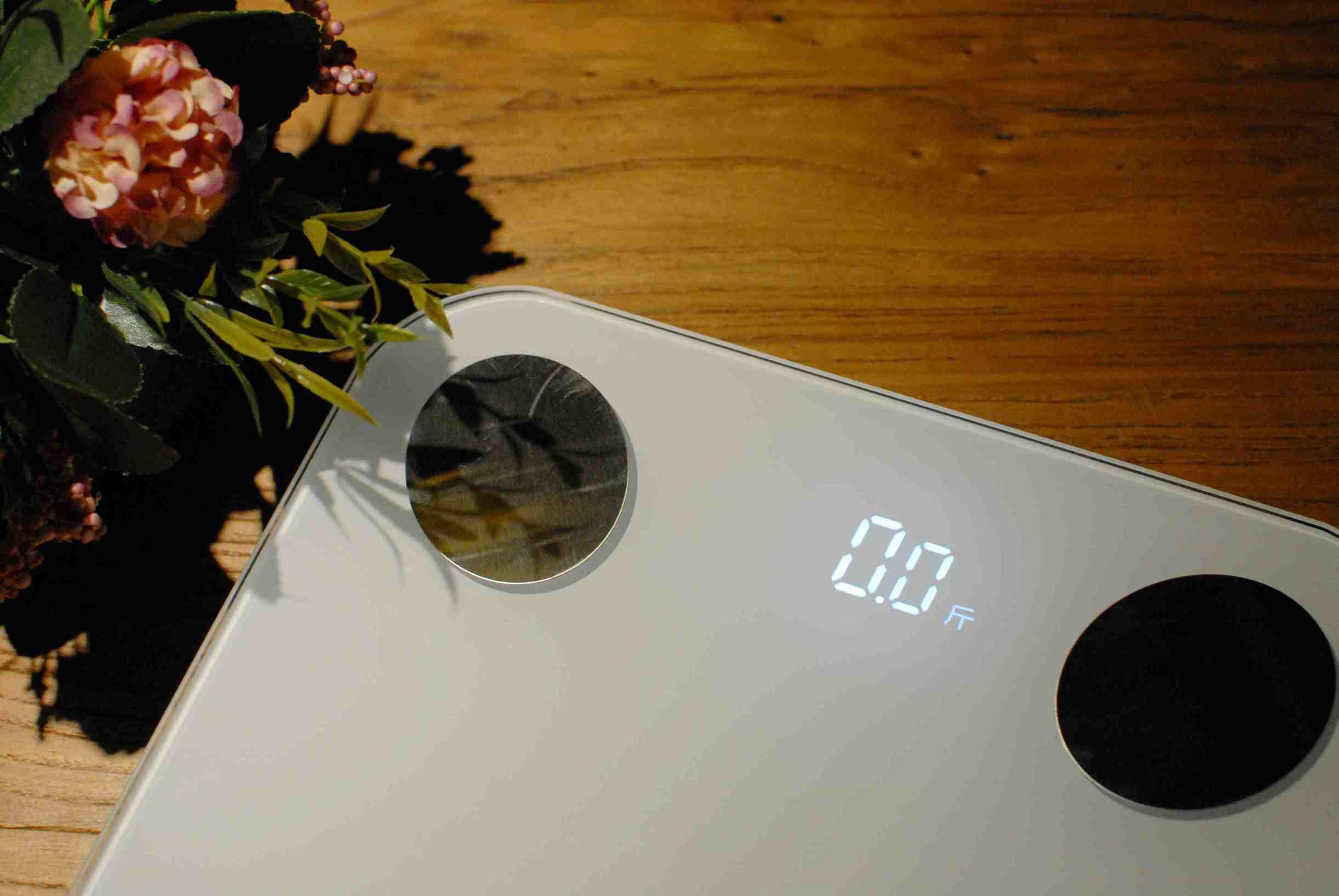 云麦mini2体脂秤说明书,云麦体脂秤mini2s测评