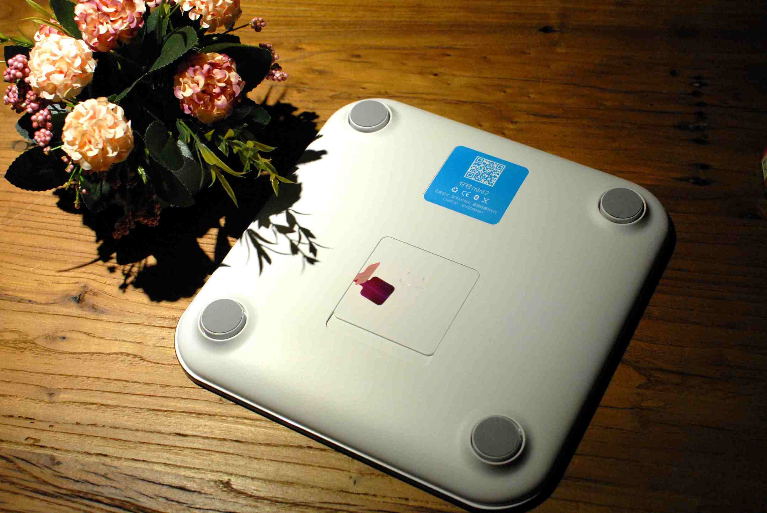 云麦mini2体脂秤说明书,云麦体脂秤mini2s测评