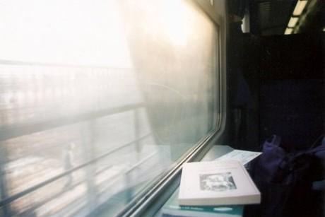 文艺句子发朋友圈的说说,怎么发油菜花的朋友圈文艺范