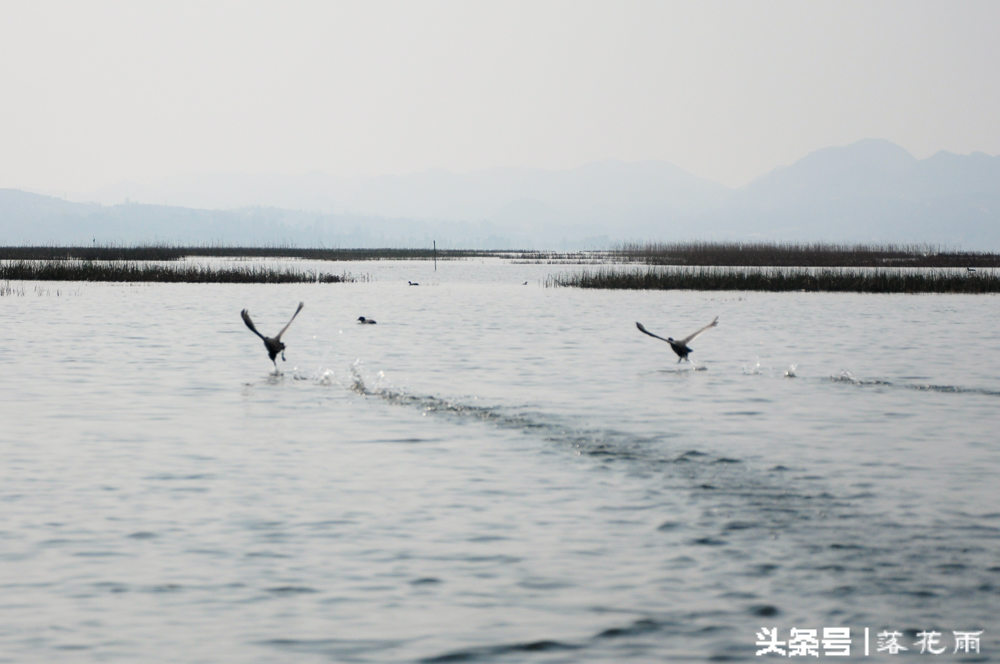 威宁草海之旅,避开人群去看海