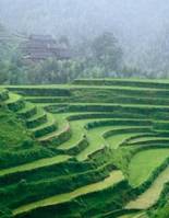 植物保护专业介绍ppt,植物保护专业招聘