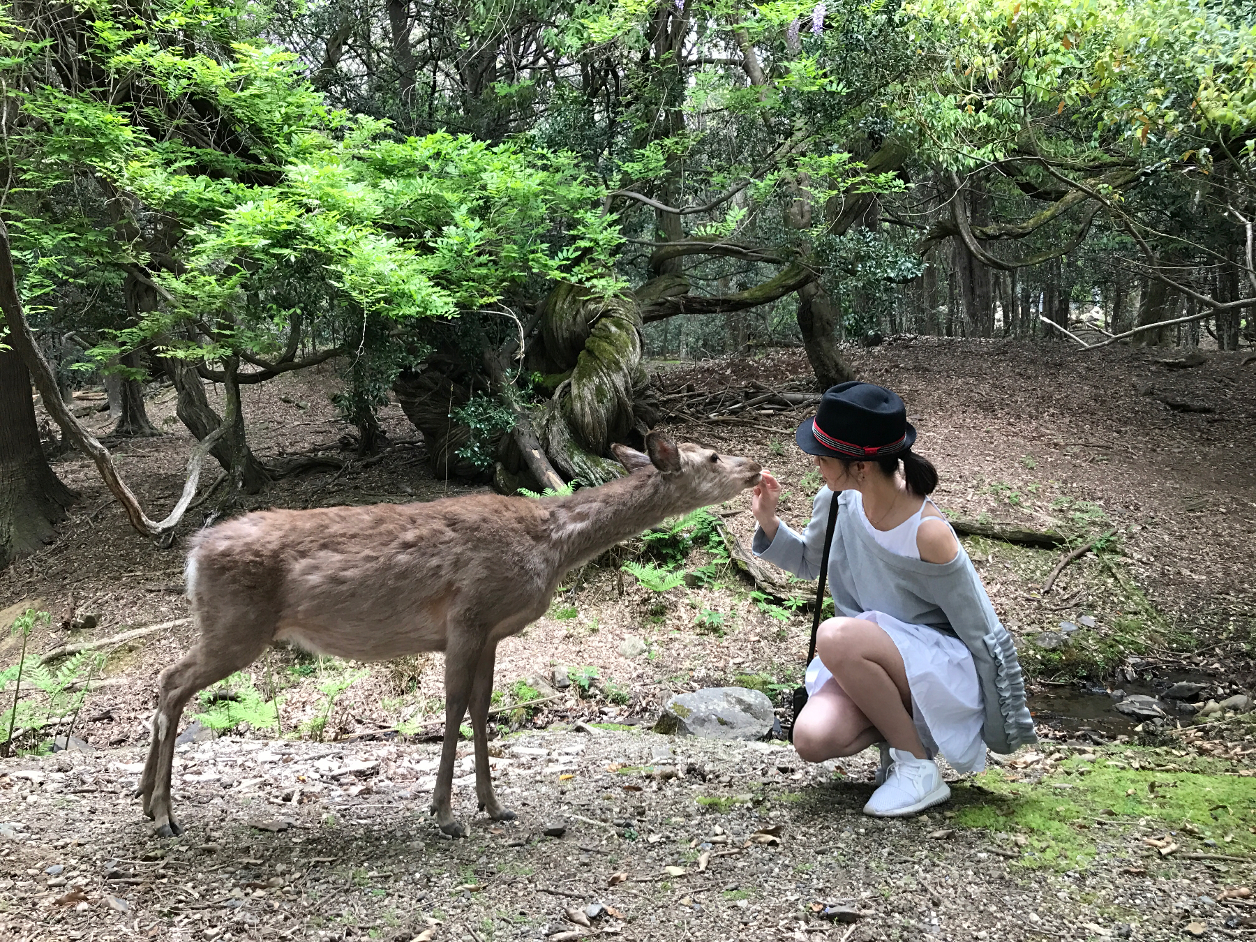 空姐在东京旅游,跟着游东京