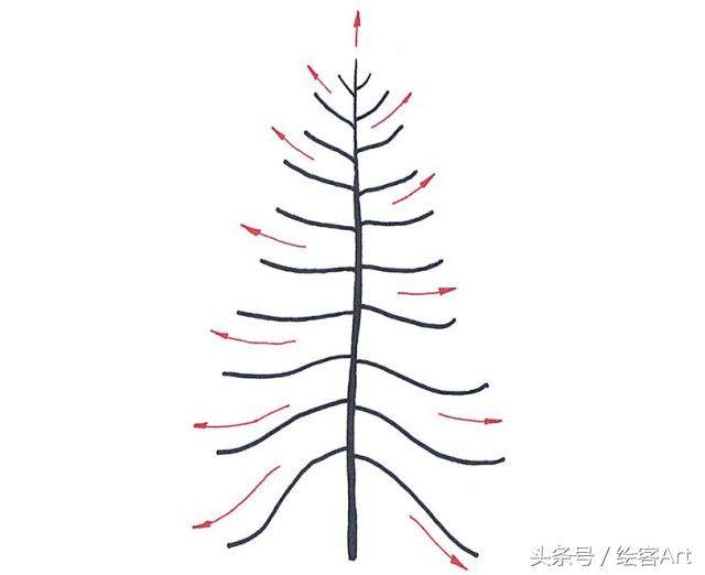 从一片树叶到一片树林,大树的树干画法步骤