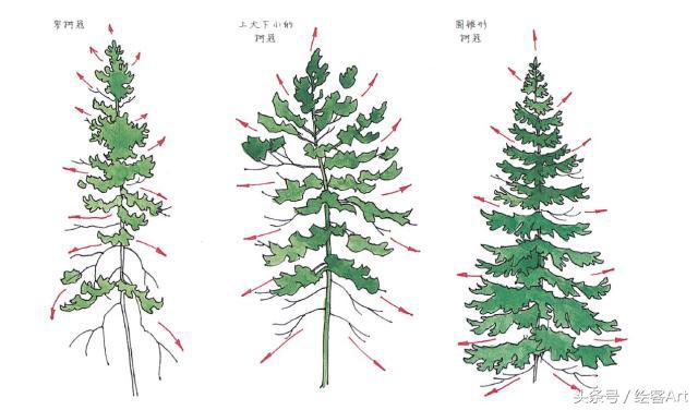 从一片树叶到一片树林,大树的树干画法步骤