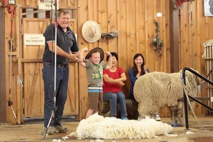 为什么去澳洲的朋友回来变胖,为什么从国外留学回来的人都变了