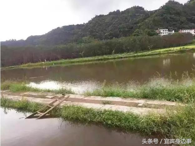 小龙虾基地钓龙虾,瑶海野钓龙虾的最佳地点