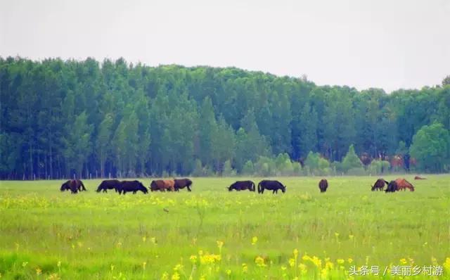 陕西省美丽宜居示范村,陕西美丽乡村名录