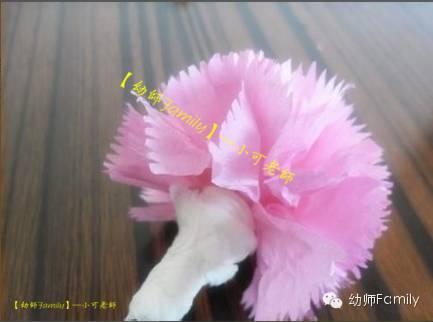 母亲节康乃馨图片大全大图,母亲节礼物手工康乃馨用卫生纸折