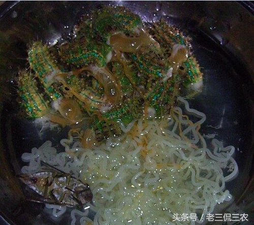 这像毛毛虫的野味，谁见过？又有谁敢吃？我是不止吃过一次，香！