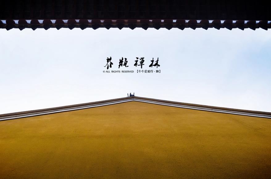 普陀山300万一场佛事,普陀山办一场佛事多少钱