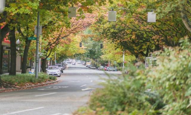 西雅图最浪漫的地方,西雅图一个充满文艺又浪漫的地方