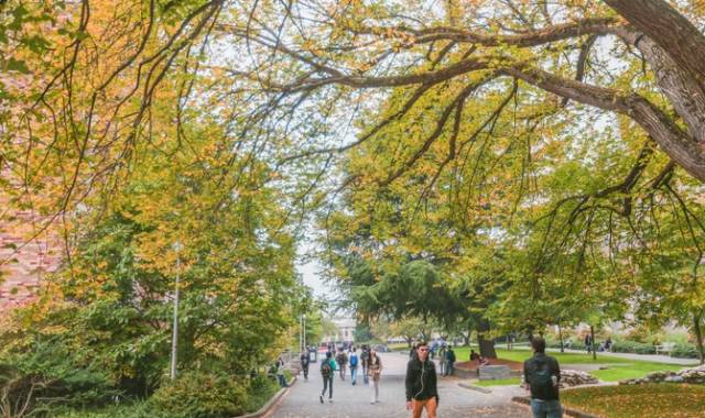 西雅图最浪漫的地方,西雅图一个充满文艺又浪漫的地方