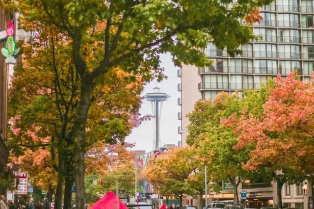 西雅图最浪漫的地方,西雅图一个充满文艺又浪漫的地方