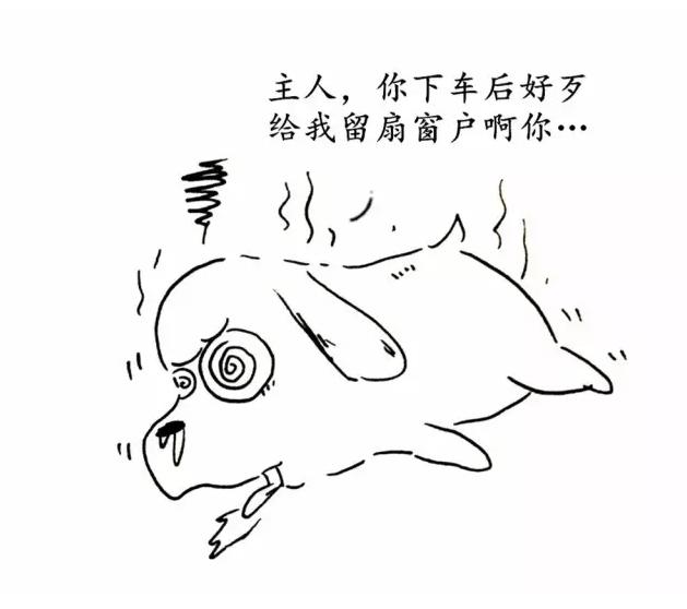 怎么让狗狗变贪吃,夏天怎么让狗毛不乱飞