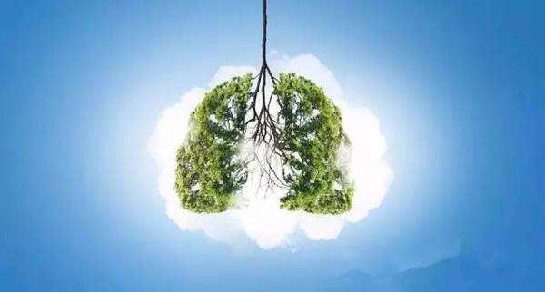 外科风云中修院长不计代价也要研究的慢阻肺,用什么药物治疗?