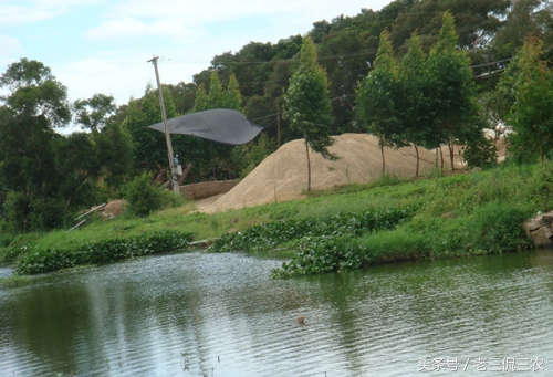 年轻人回乡创业做什么比较好,农民工回乡创业做什么比较好