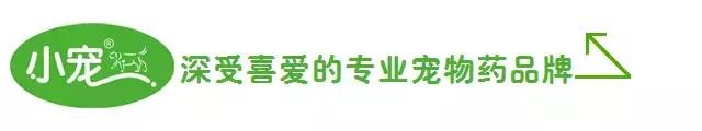 狗狗便血了?!养宠一定要知道的狗狗血便原因
