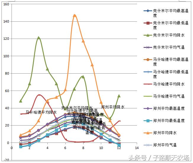 藏红花生长在什么地方最有价值,藏红花哪些省份可以种植