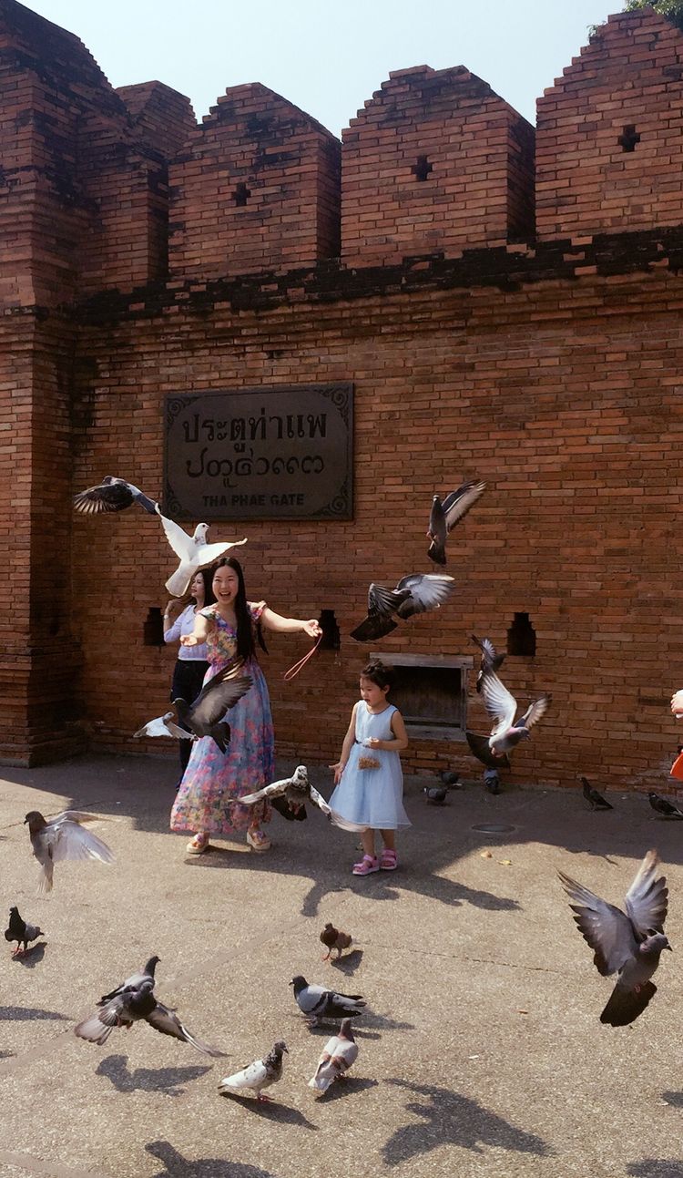 带你一起泰国旅游,清迈普吉自由行