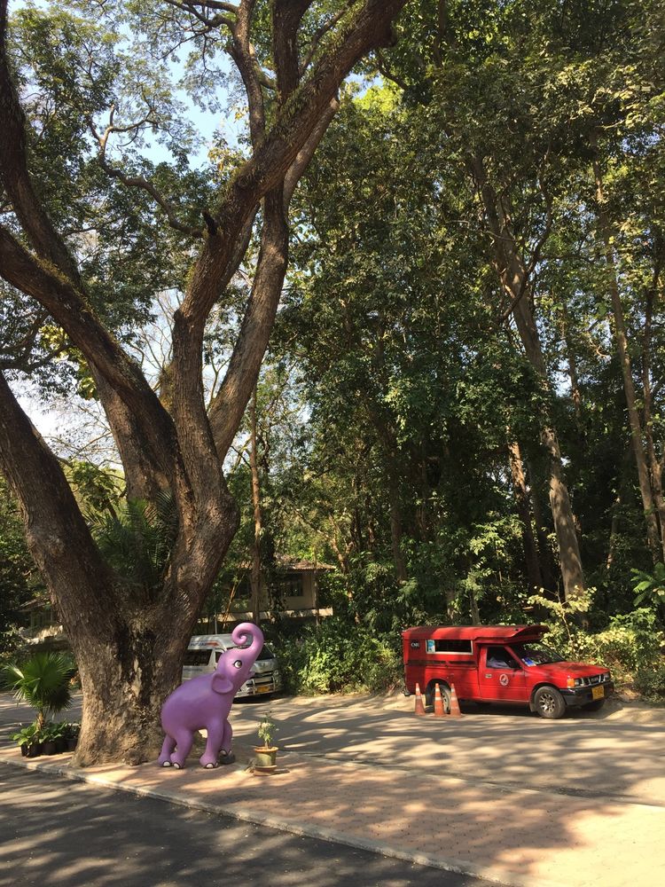 带你一起泰国旅游,清迈普吉自由行