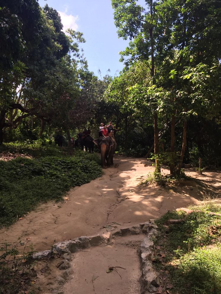 带你一起泰国旅游,清迈普吉自由行