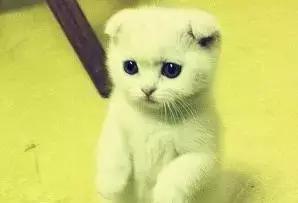 黄皮肤假货怎么识别,假货造成过敏