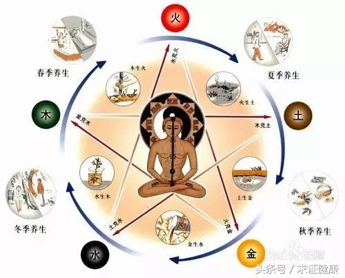 为啥会白头发,为什么你会有白头发