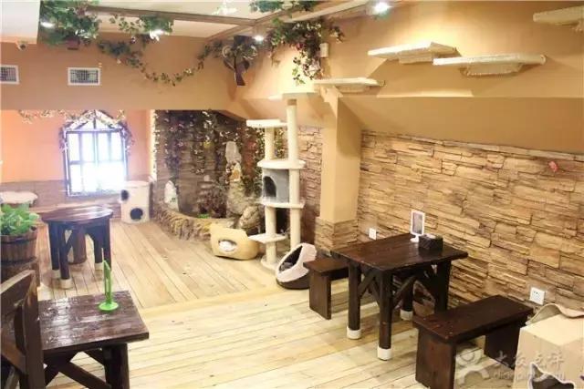 沈阳十大必吃美食推荐餐厅有哪些,沈阳美食推荐餐厅