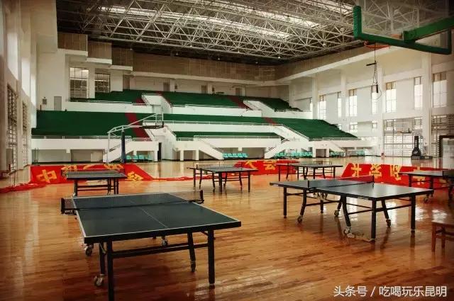 再见了龙狮城,再见了八年级