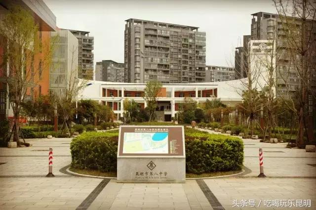 再见了龙狮城,再见了八年级