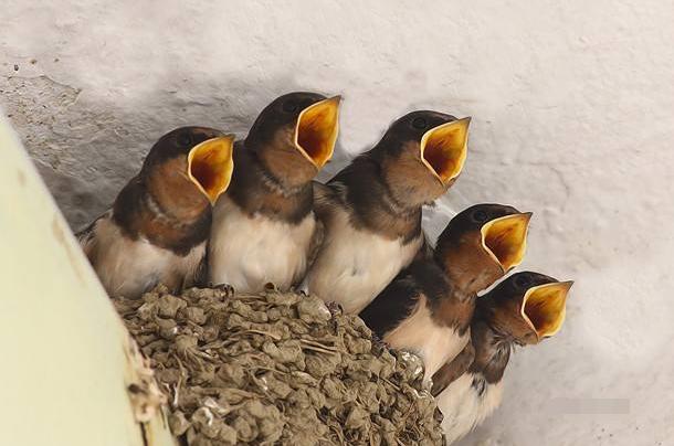 农村路边不能碰什么,村里的习俗什么东西不能碰